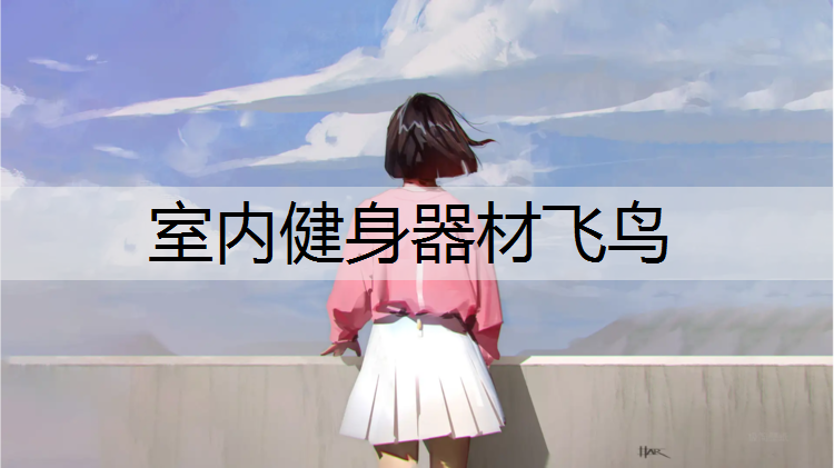 <strong>室内健身器材飞鸟</strong>