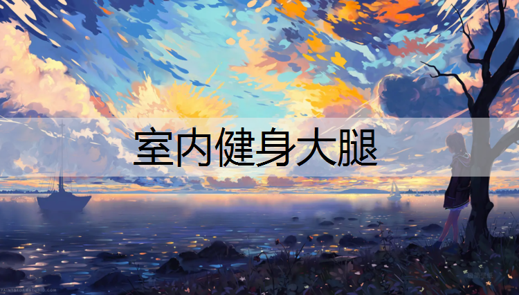 室内健身大腿