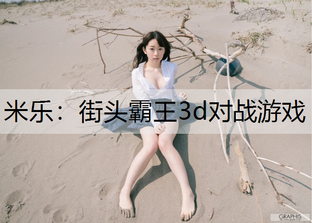 米乐：街头霸王3d对战游戏