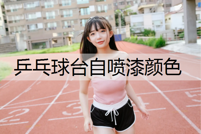 <strong>乒乓球台自喷漆颜色</strong>
