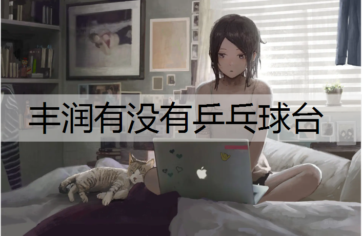 丰润有没有乒乓球台