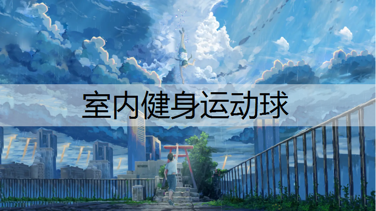 室内健身运动球
