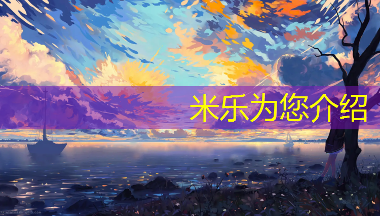 米乐：公园健身器材踏步机有什么_
