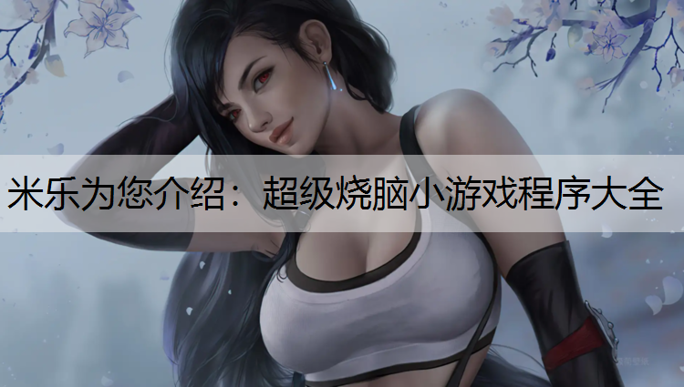超级烧脑小游戏程序大全
