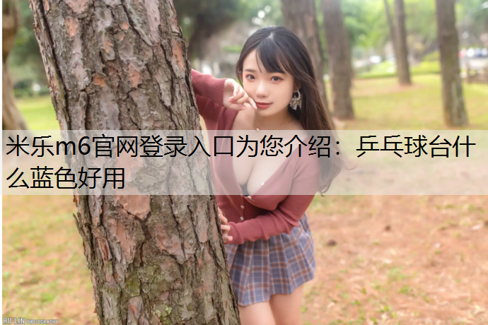 乒乓球台什么蓝色好用